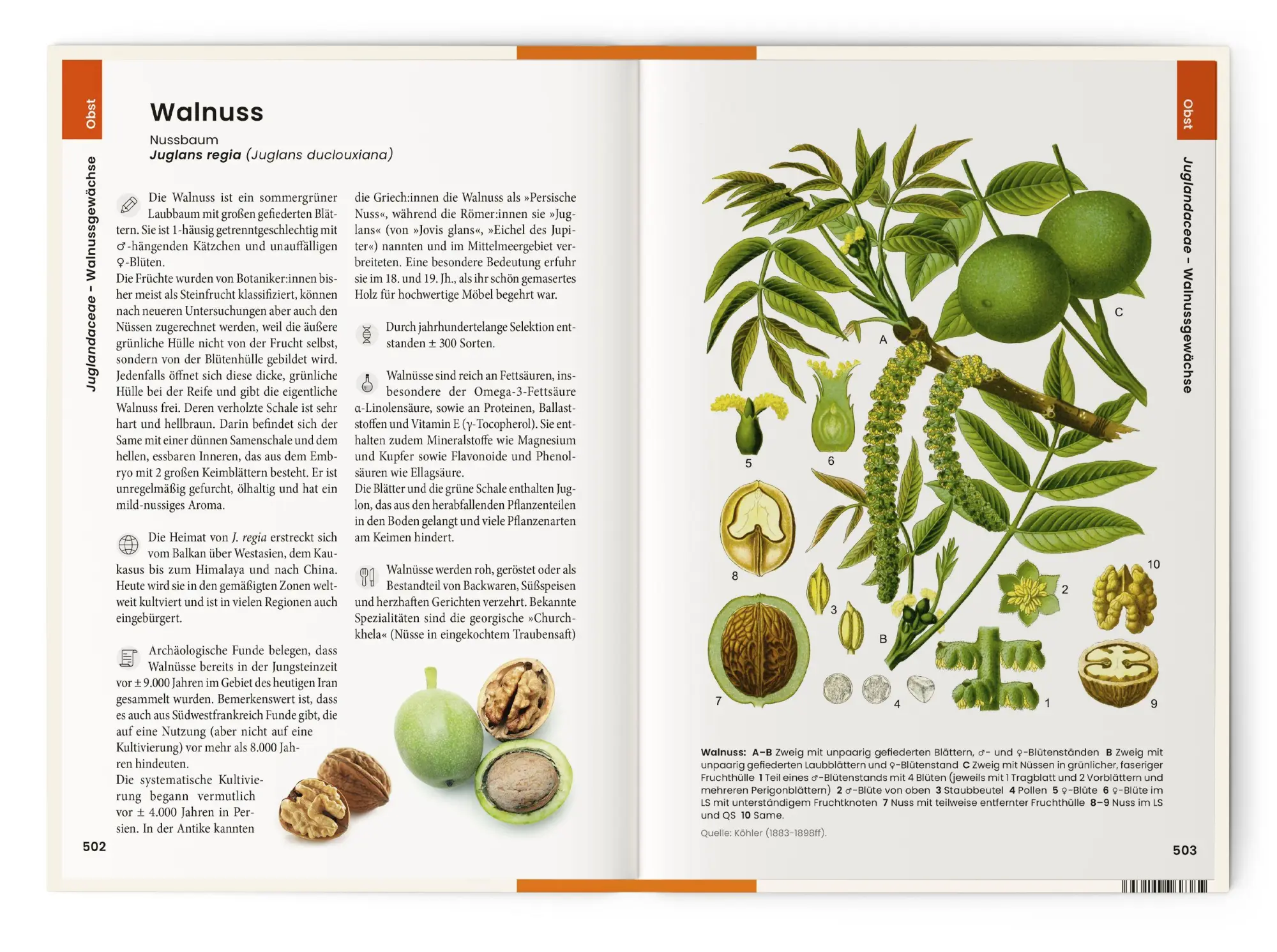 Bild: 9783968491653 | Was wir essen | Oliver Tackenberg | Buch | 896 S. | Deutsch | 2025