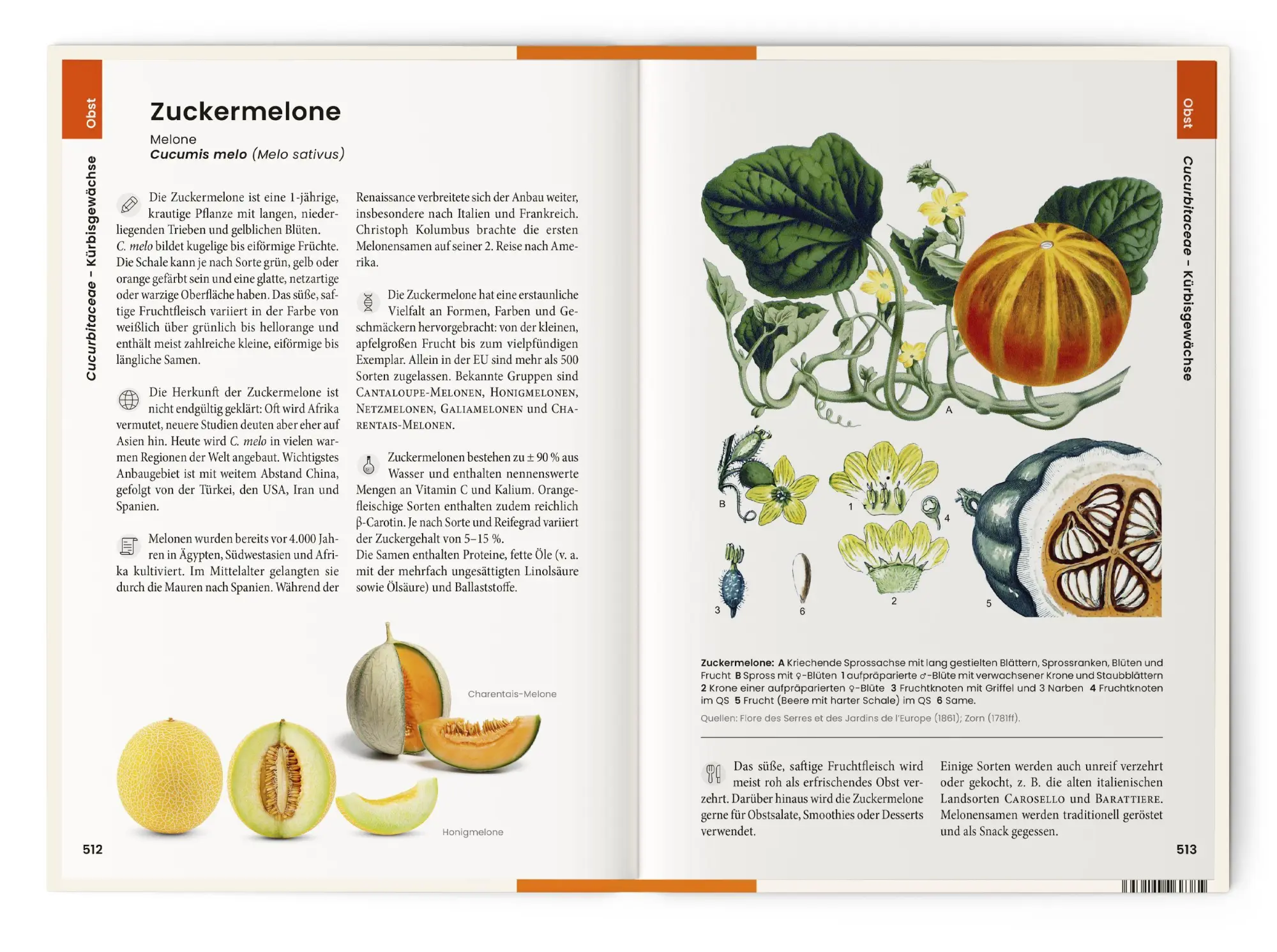 Bild: 9783968491653 | Was wir essen | Oliver Tackenberg | Buch | 896 S. | Deutsch | 2025