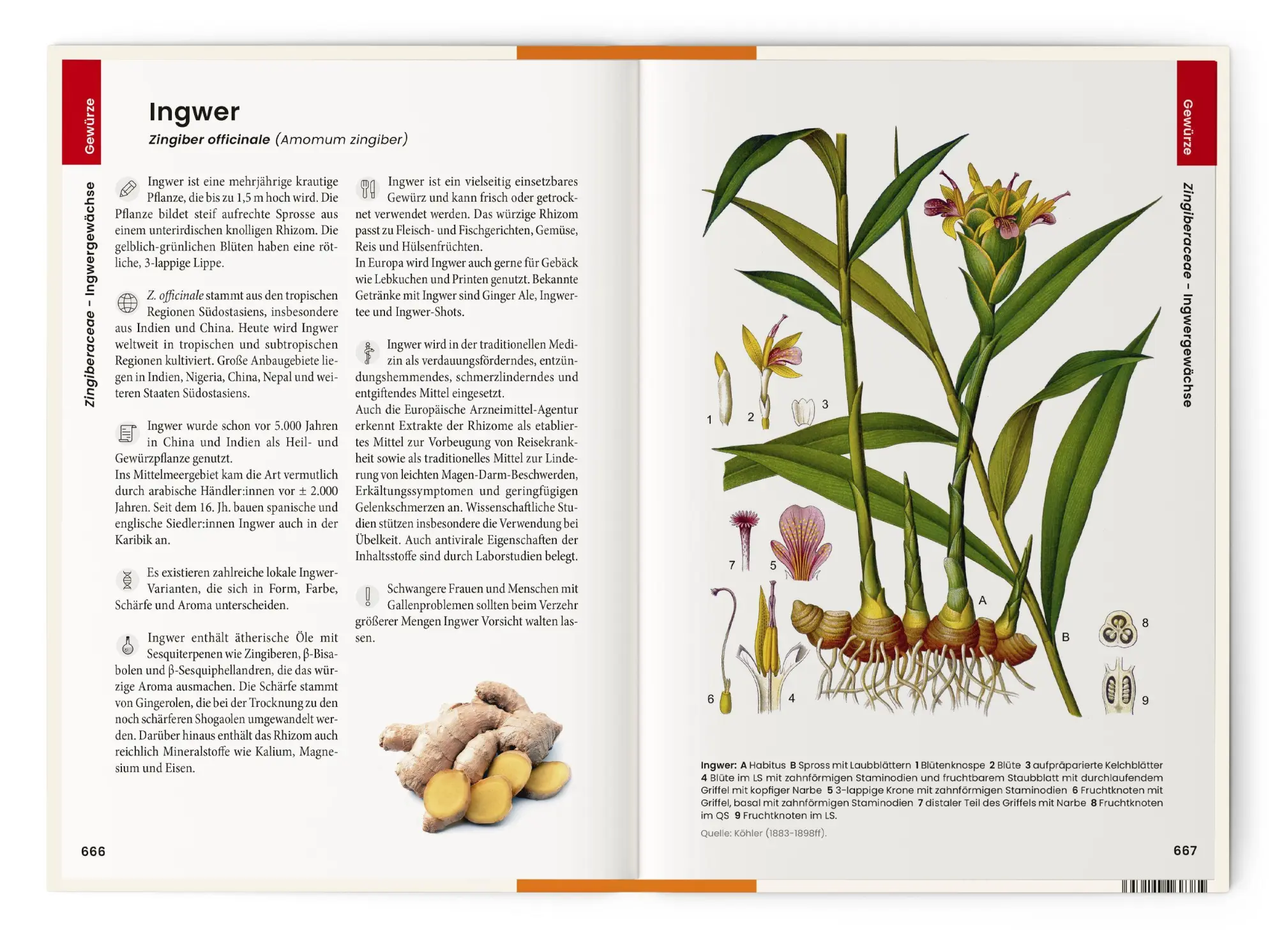 Bild: 9783968491653 | Was wir essen | Oliver Tackenberg | Buch | 896 S. | Deutsch | 2025