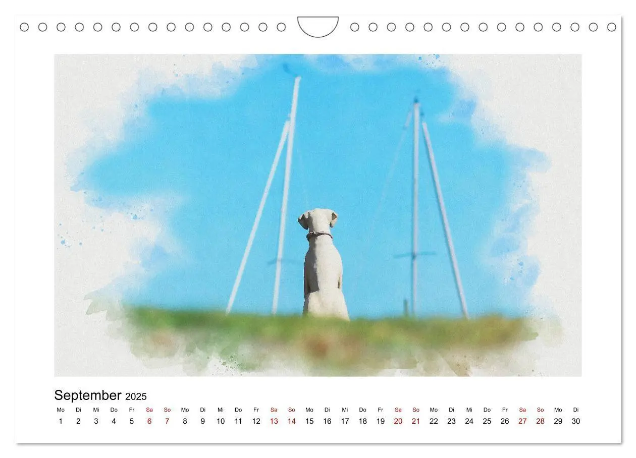 Bild: 9783435141753 | Ostsee Aquarelle (Wandkalender 2025 DIN A4 quer), CALVENDO...