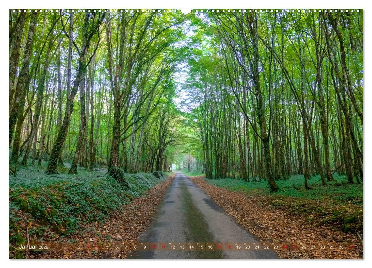 Bild: 9783457781753 | Dordogne Mon Amour (Wandkalender 2026 DIN A2 quer), CALVENDO...