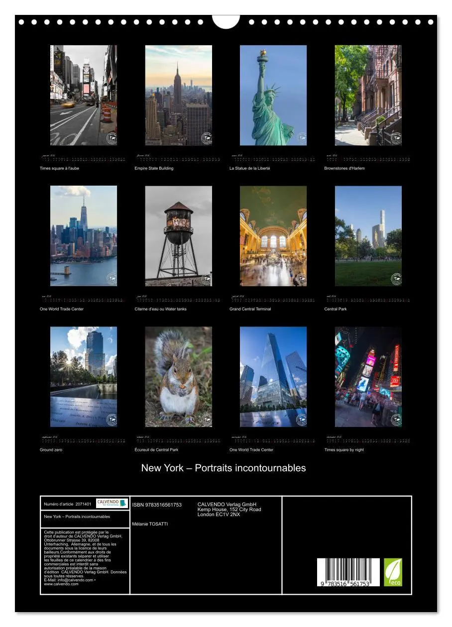 Bild: 9783516561753 | New York - Portraits incontournables (Calendrier mural 2026 DIN A3...