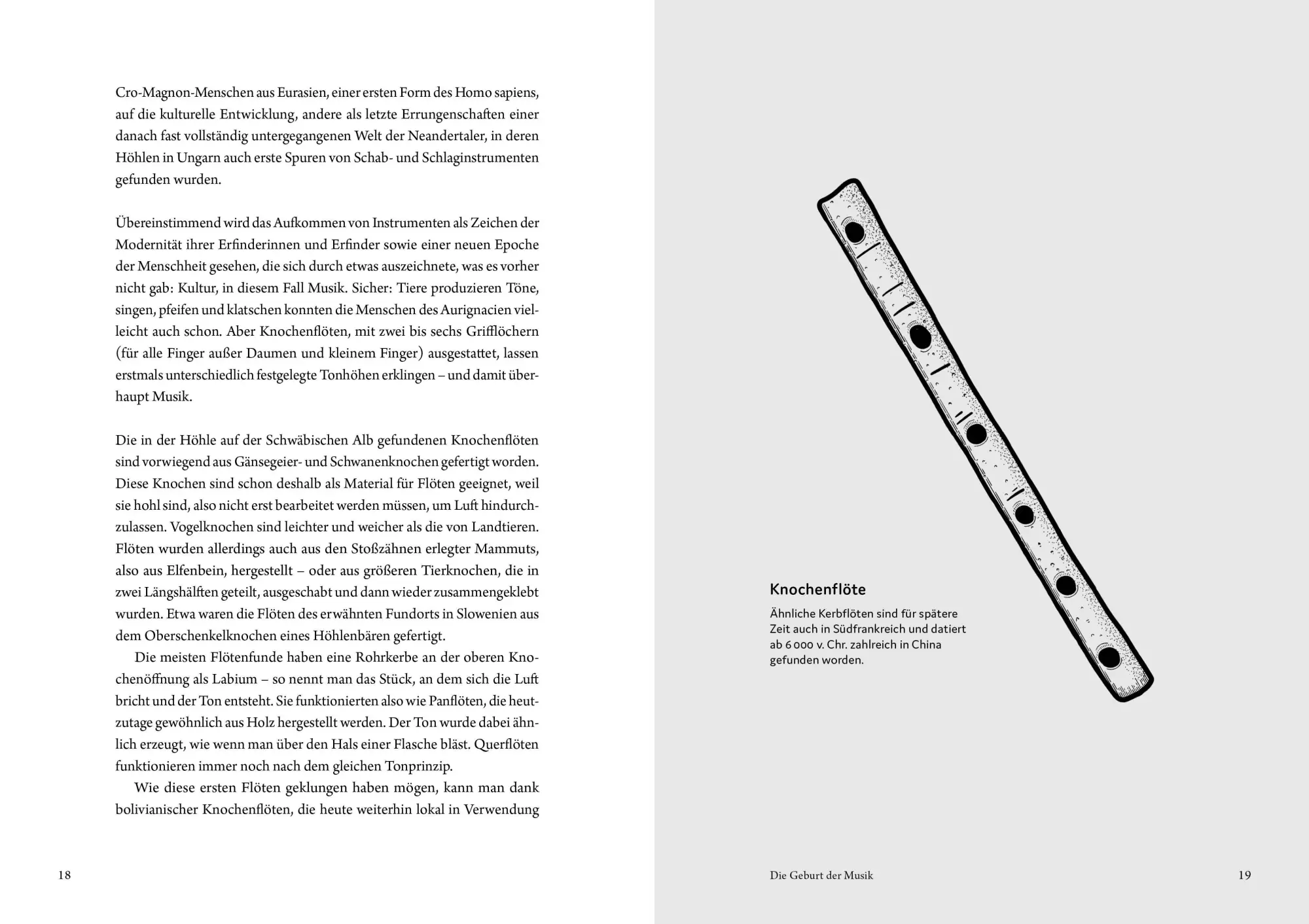 Bild: 9783702511753 | Das Buch der vergessenen Musikinstrumente | Marcus Seibert | Buch