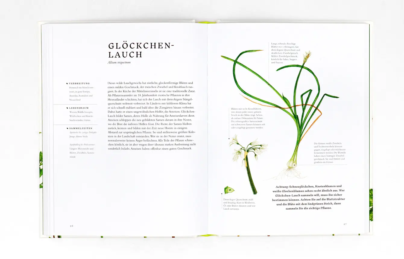 Bild: 9783962441753 | Essbare Wildpflanzen | Erkennen, sammeln und zubereiten | Liz Knight