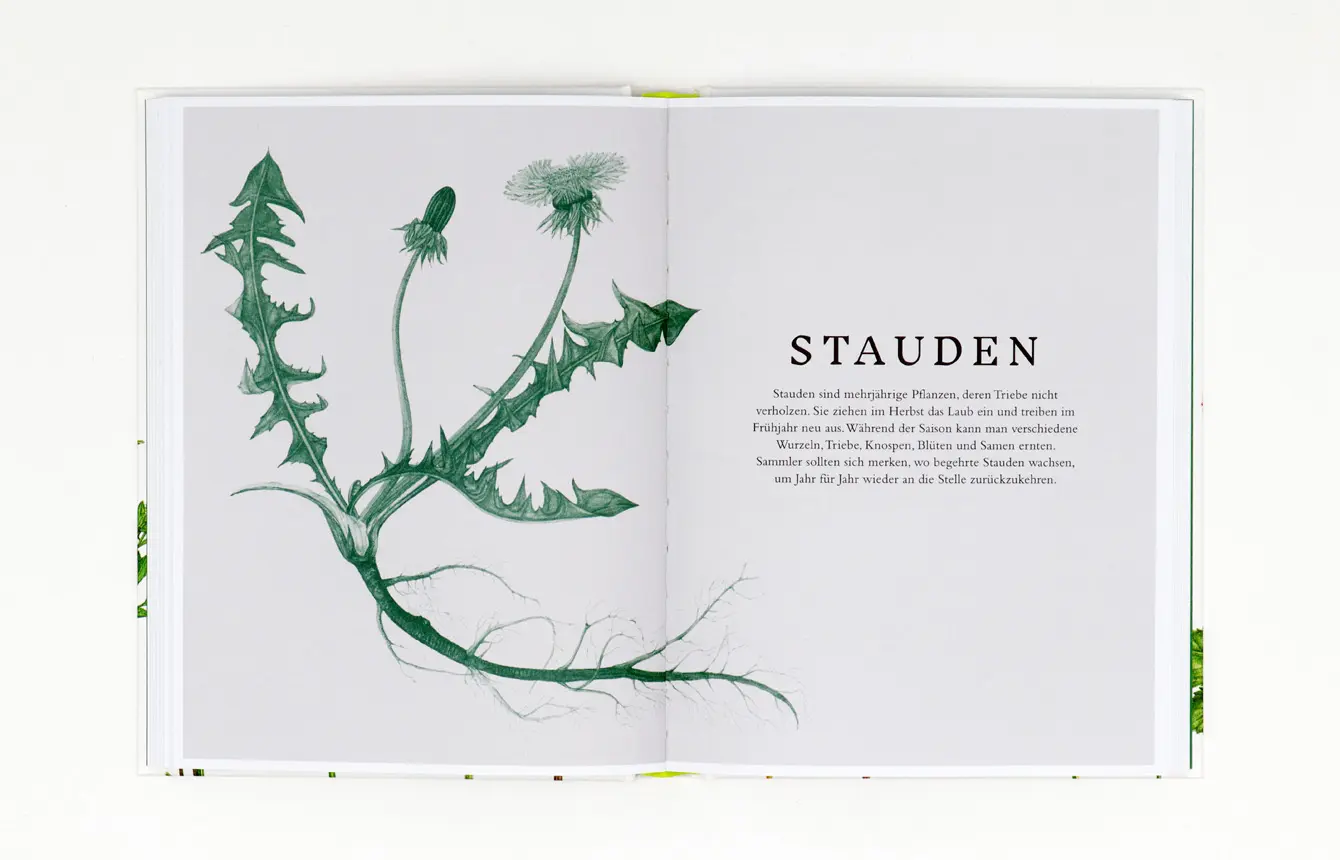 Bild: 9783962441753 | Essbare Wildpflanzen | Erkennen, sammeln und zubereiten | Liz Knight
