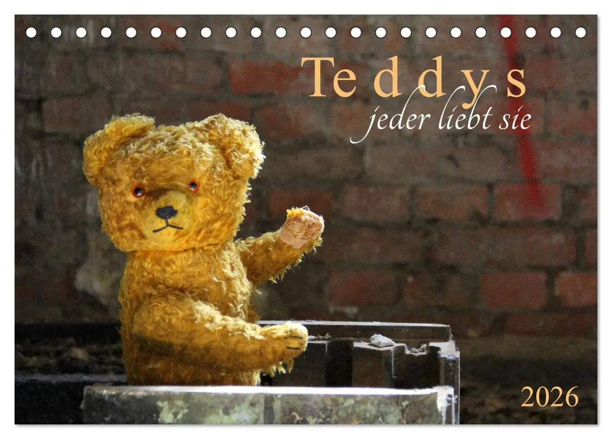 Cover: 9783457771853 | Teddys...jeder liebt sie (Tischkalender 2026 DIN A5 quer), CALVENDO...