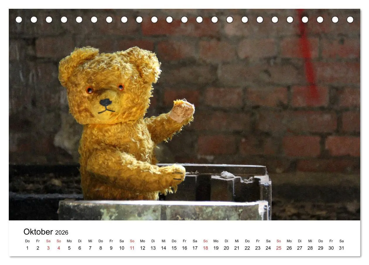 Bild: 9783457771853 | Teddys...jeder liebt sie (Tischkalender 2026 DIN A5 quer), CALVENDO...