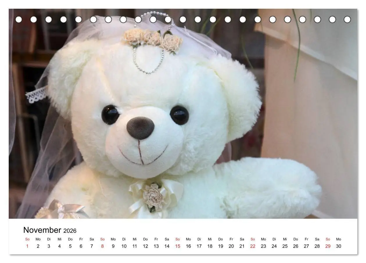 Bild: 9783457771853 | Teddys...jeder liebt sie (Tischkalender 2026 DIN A5 quer), CALVENDO...
