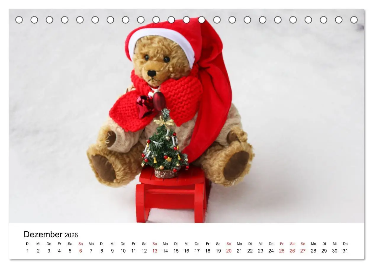 Bild: 9783457771853 | Teddys...jeder liebt sie (Tischkalender 2026 DIN A5 quer), CALVENDO...