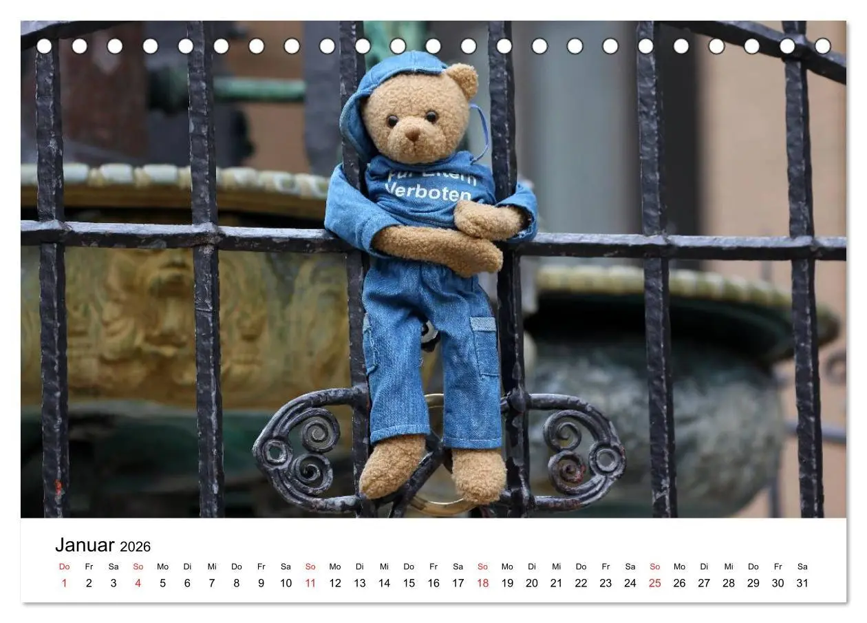 Bild: 9783457771853 | Teddys...jeder liebt sie (Tischkalender 2026 DIN A5 quer), CALVENDO...