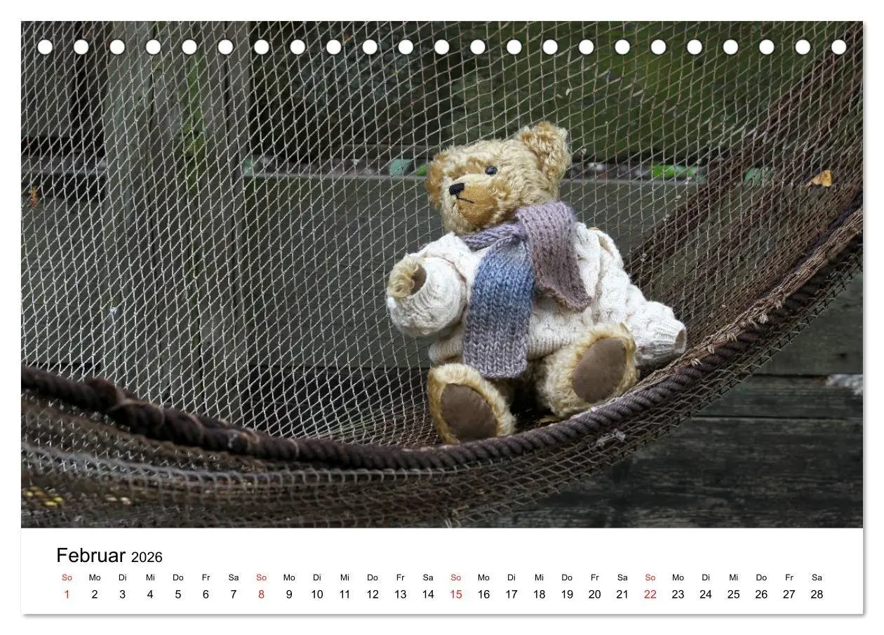 Bild: 9783457771853 | Teddys...jeder liebt sie (Tischkalender 2026 DIN A5 quer), CALVENDO...