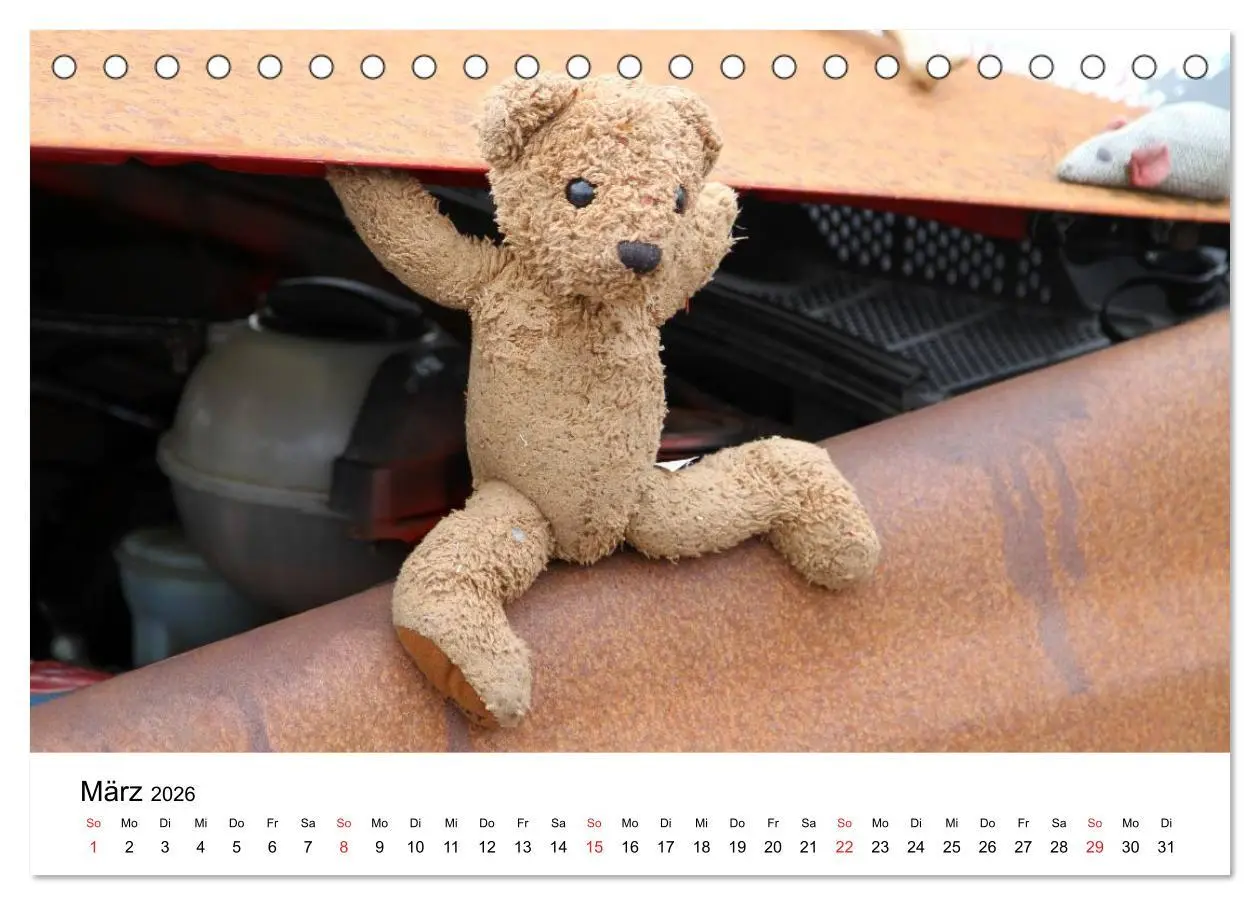 Bild: 9783457771853 | Teddys...jeder liebt sie (Tischkalender 2026 DIN A5 quer), CALVENDO...