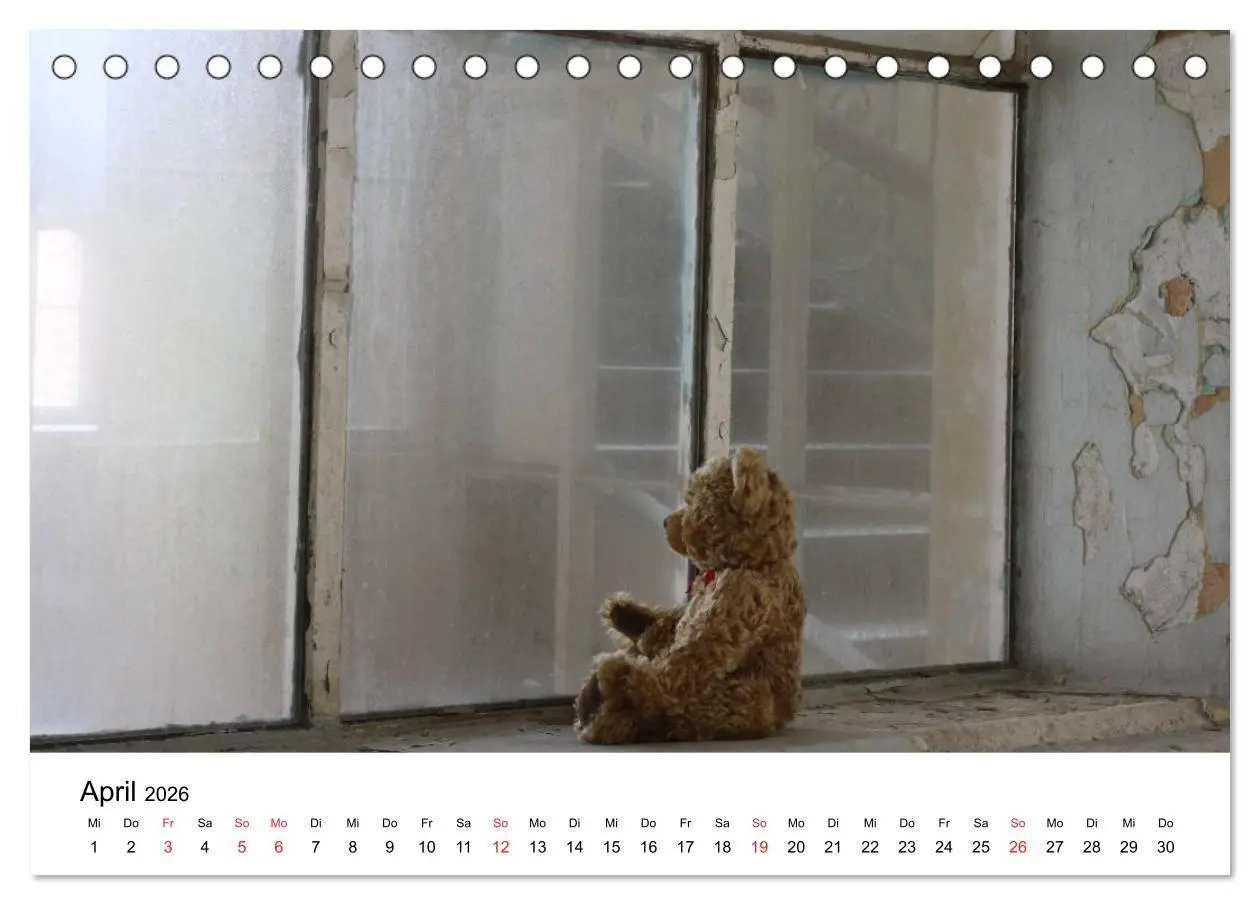Bild: 9783457771853 | Teddys...jeder liebt sie (Tischkalender 2026 DIN A5 quer), CALVENDO...
