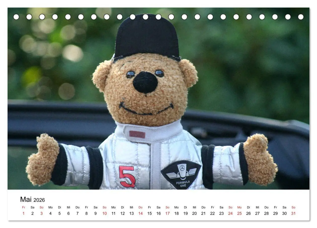 Bild: 9783457771853 | Teddys...jeder liebt sie (Tischkalender 2026 DIN A5 quer), CALVENDO...