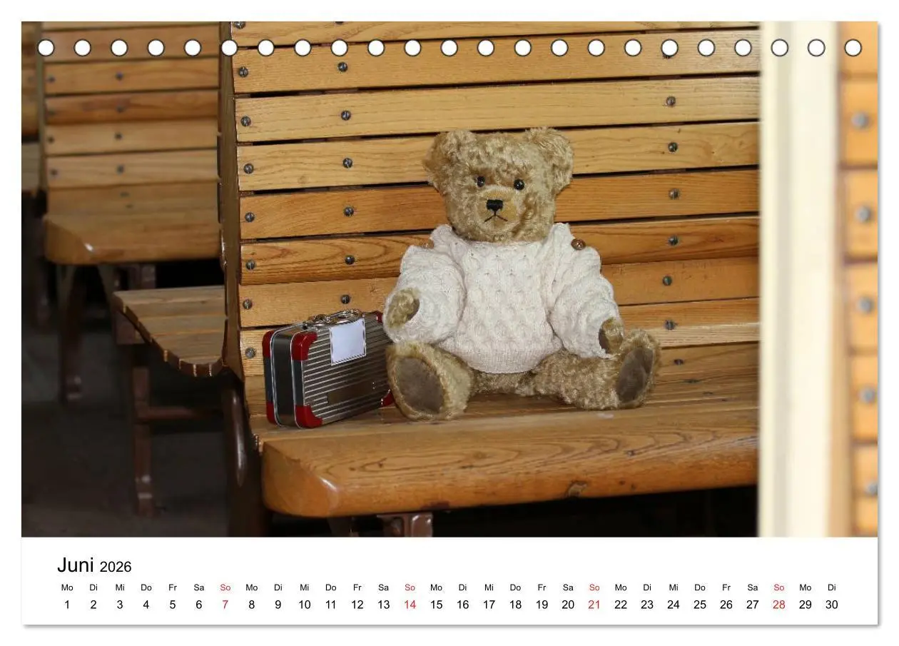 Bild: 9783457771853 | Teddys...jeder liebt sie (Tischkalender 2026 DIN A5 quer), CALVENDO...