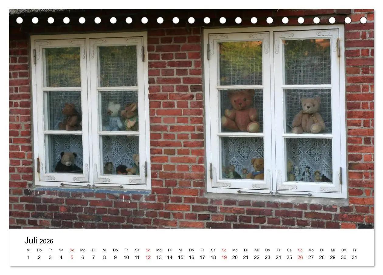 Bild: 9783457771853 | Teddys...jeder liebt sie (Tischkalender 2026 DIN A5 quer), CALVENDO...