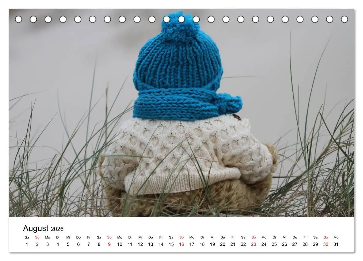 Bild: 9783457771853 | Teddys...jeder liebt sie (Tischkalender 2026 DIN A5 quer), CALVENDO...