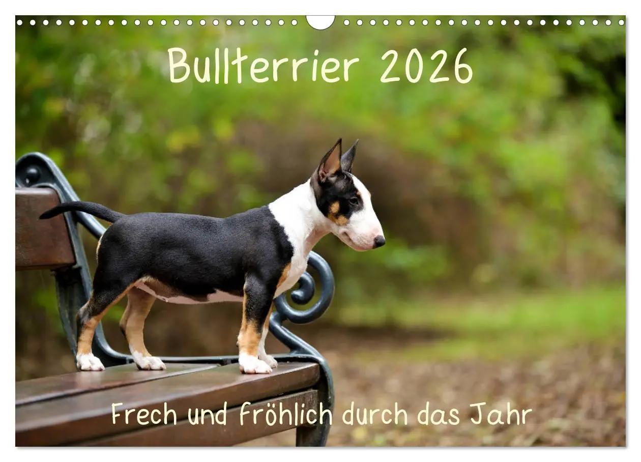 Cover: 9783457841853 | Bullterrier 2026 Frech und fröhlich durch das Jahr (Wandkalender...