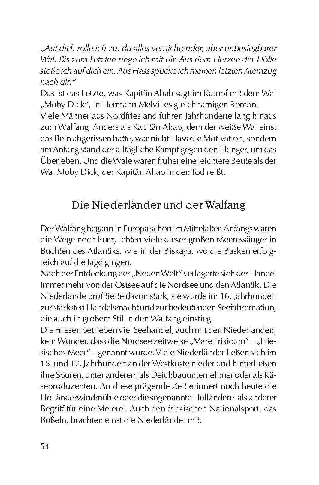 Bild: 9783967171853 | Halliglüüd, Rungholt und der Wal | Birte Stährmann (u. a.) | Buch