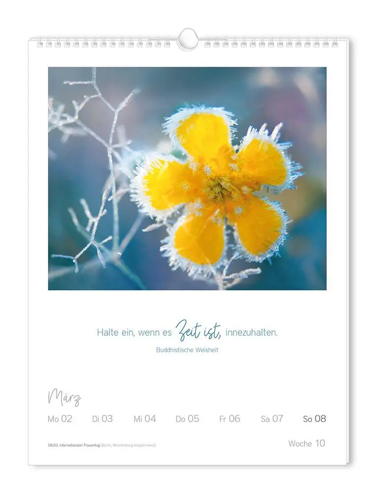 Bild: 9783986361853 | Wochenkalender 2026 LebensWeisheiten | Wochenkalender groß | Original