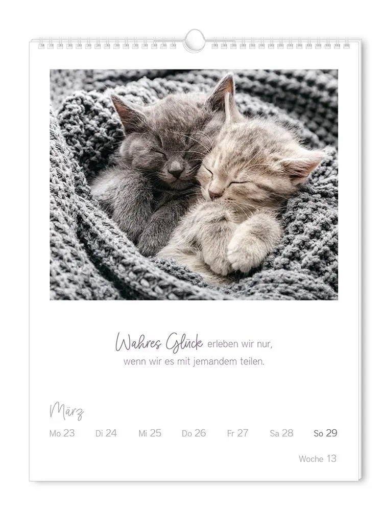 Bild: 9783986361853 | Wochenkalender 2026 LebensWeisheiten | Wochenkalender groß | Original