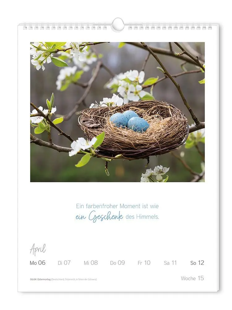 Bild: 9783986361853 | Wochenkalender 2026 LebensWeisheiten | Wochenkalender groß | Original