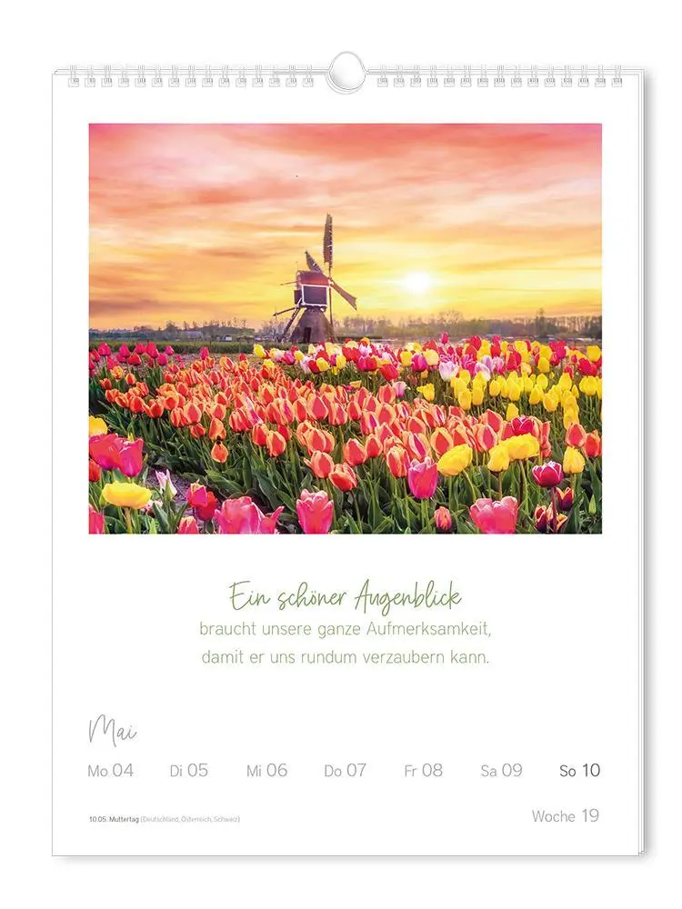 Bild: 9783986361853 | Wochenkalender 2026 LebensWeisheiten | Wochenkalender groß | Original