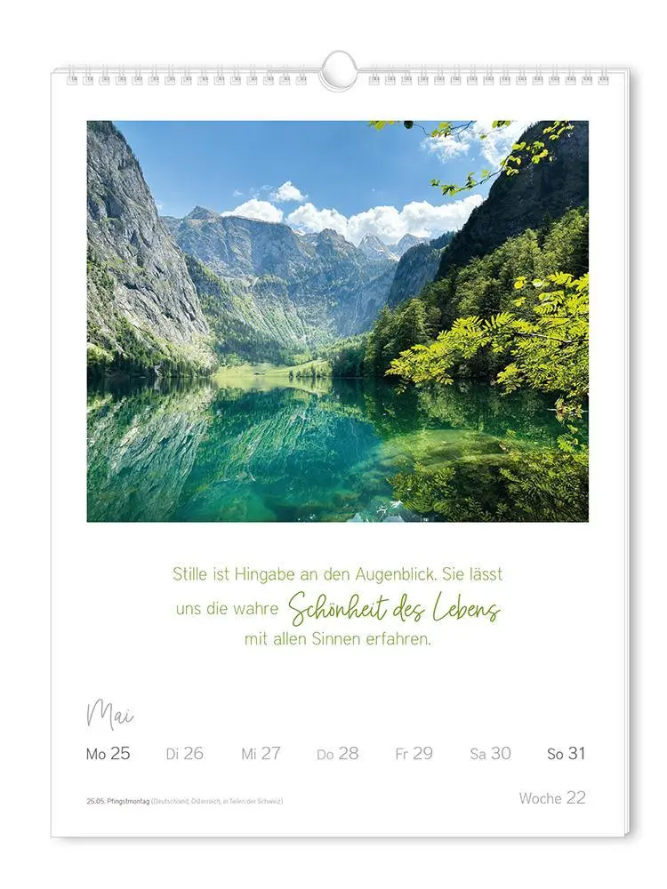 Bild: 9783986361853 | Wochenkalender 2026 LebensWeisheiten | Wochenkalender groß | Original