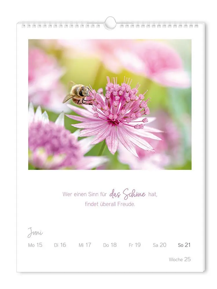 Bild: 9783986361853 | Wochenkalender 2026 LebensWeisheiten | Wochenkalender groß | Original