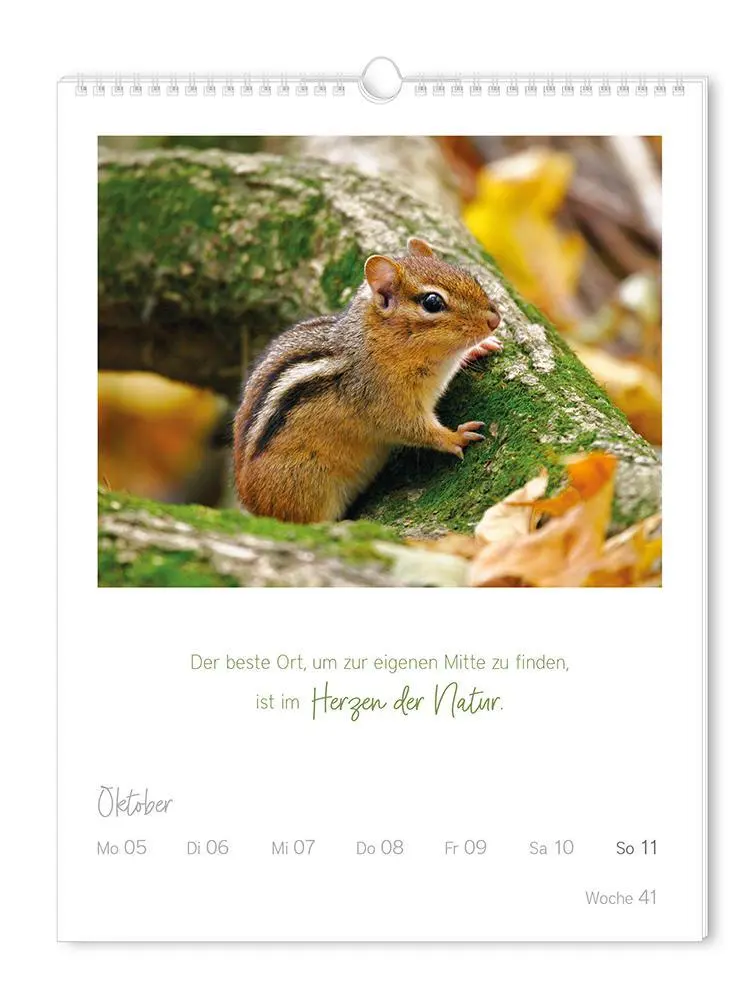 Bild: 9783986361853 | Wochenkalender 2026 LebensWeisheiten | Wochenkalender groß | Original
