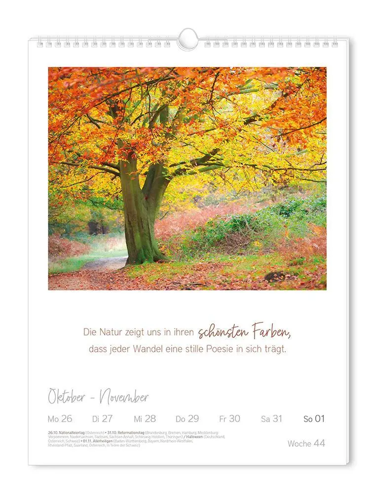 Bild: 9783986361853 | Wochenkalender 2026 LebensWeisheiten | Wochenkalender groß | Original