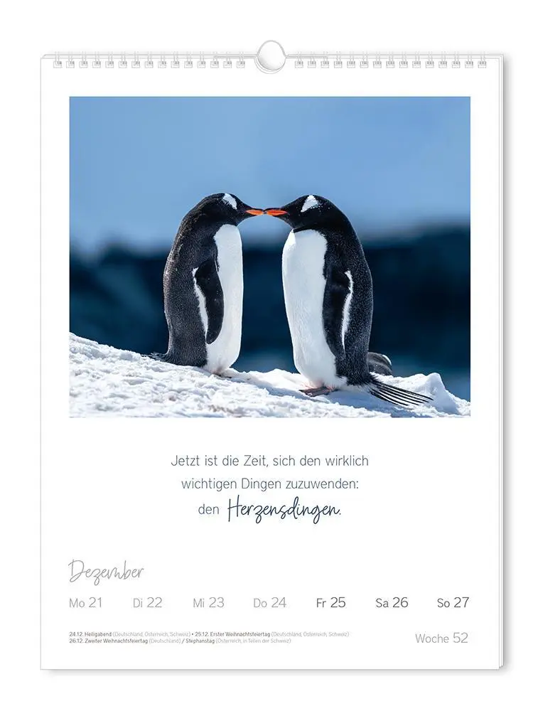 Bild: 9783986361853 | Wochenkalender 2026 LebensWeisheiten | Wochenkalender groß | Original
