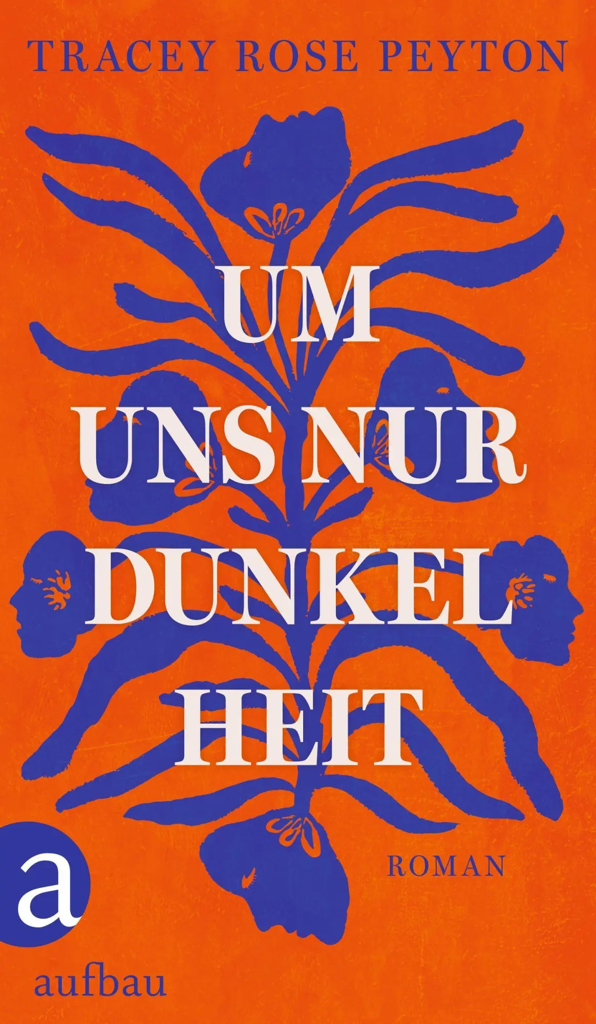 Cover: 9783351041953 | Um uns nur Dunkelheit | Roman | Tracey Rose Peyton | Buch | 400 S.