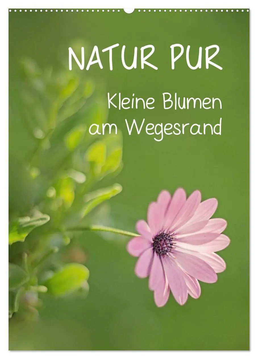 Cover: 9783516432053 | NATUR PUR Kleine Blumen am Wegesrand (Wandkalender 2026 DIN A2...
