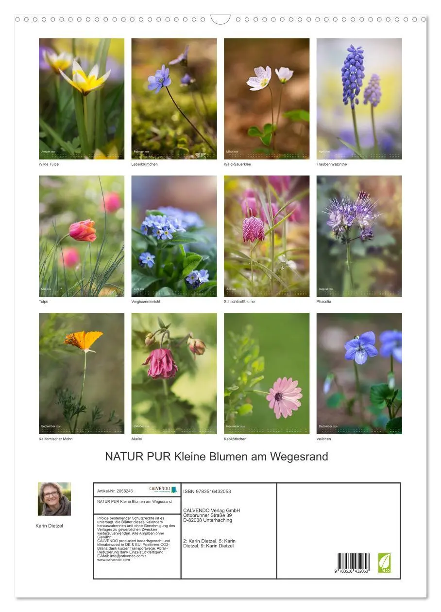 Bild: 9783516432053 | NATUR PUR Kleine Blumen am Wegesrand (Wandkalender 2026 DIN A2...