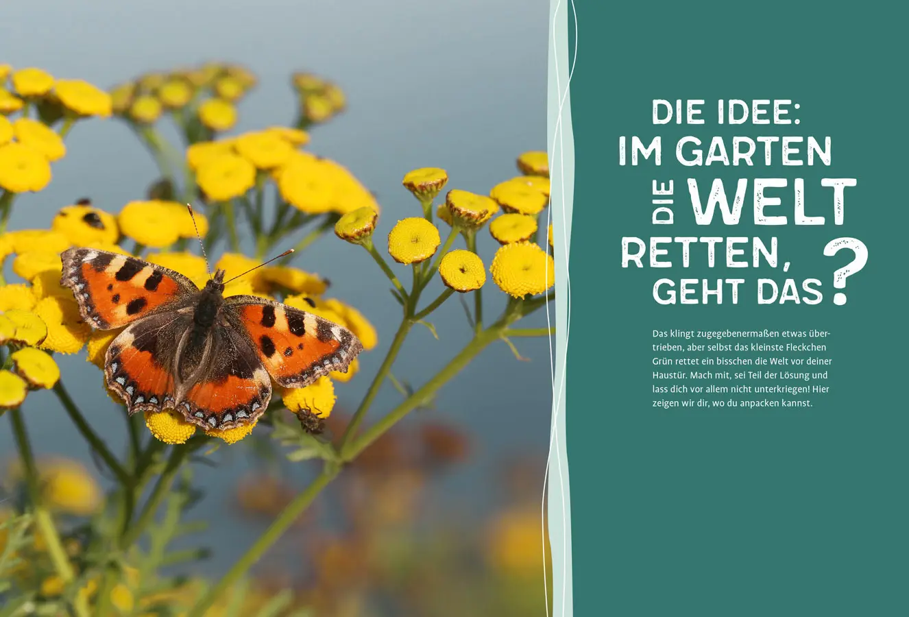 Bild: 9783818622053 | Lass wachsen! | Elke Schwarzer | Buch | 192 S. | Deutsch | 2024