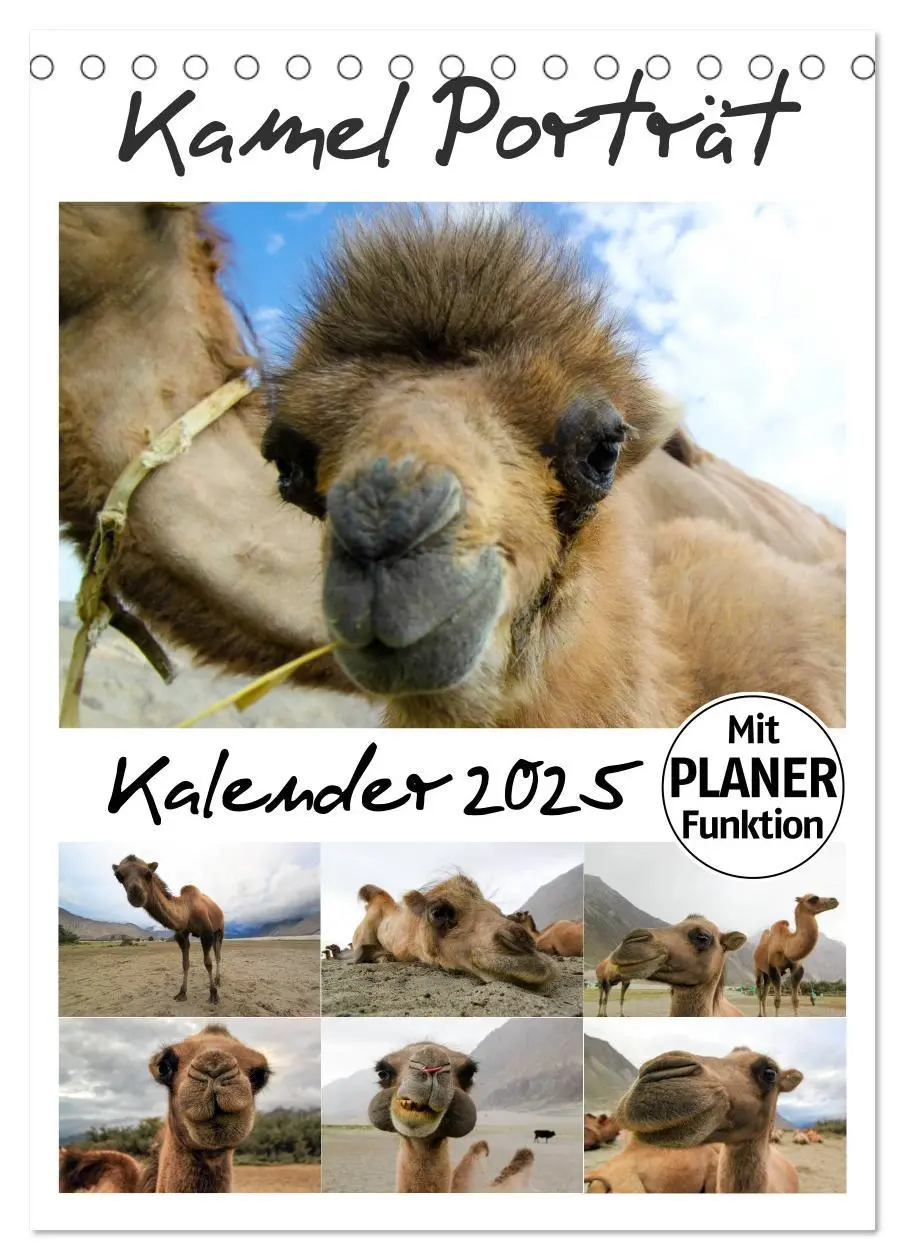 Cover: 9783457022153 | Kamel Porträt (Tischkalender 2025 DIN A5 hoch), CALVENDO...
