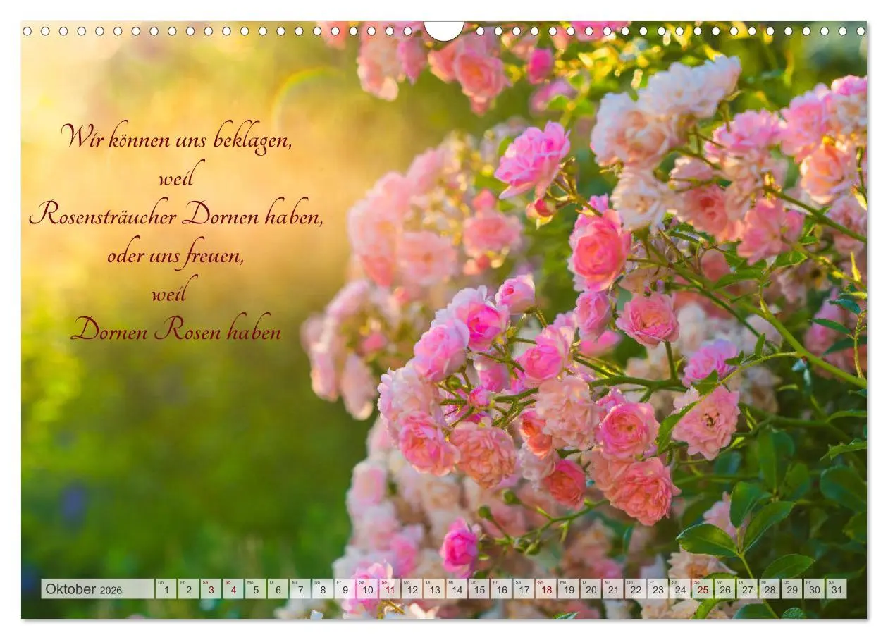 Bild: 9783457572153 | Lieblingsgärten mit poetischen Sinnsprüchen (Wandkalender 2026 DIN...