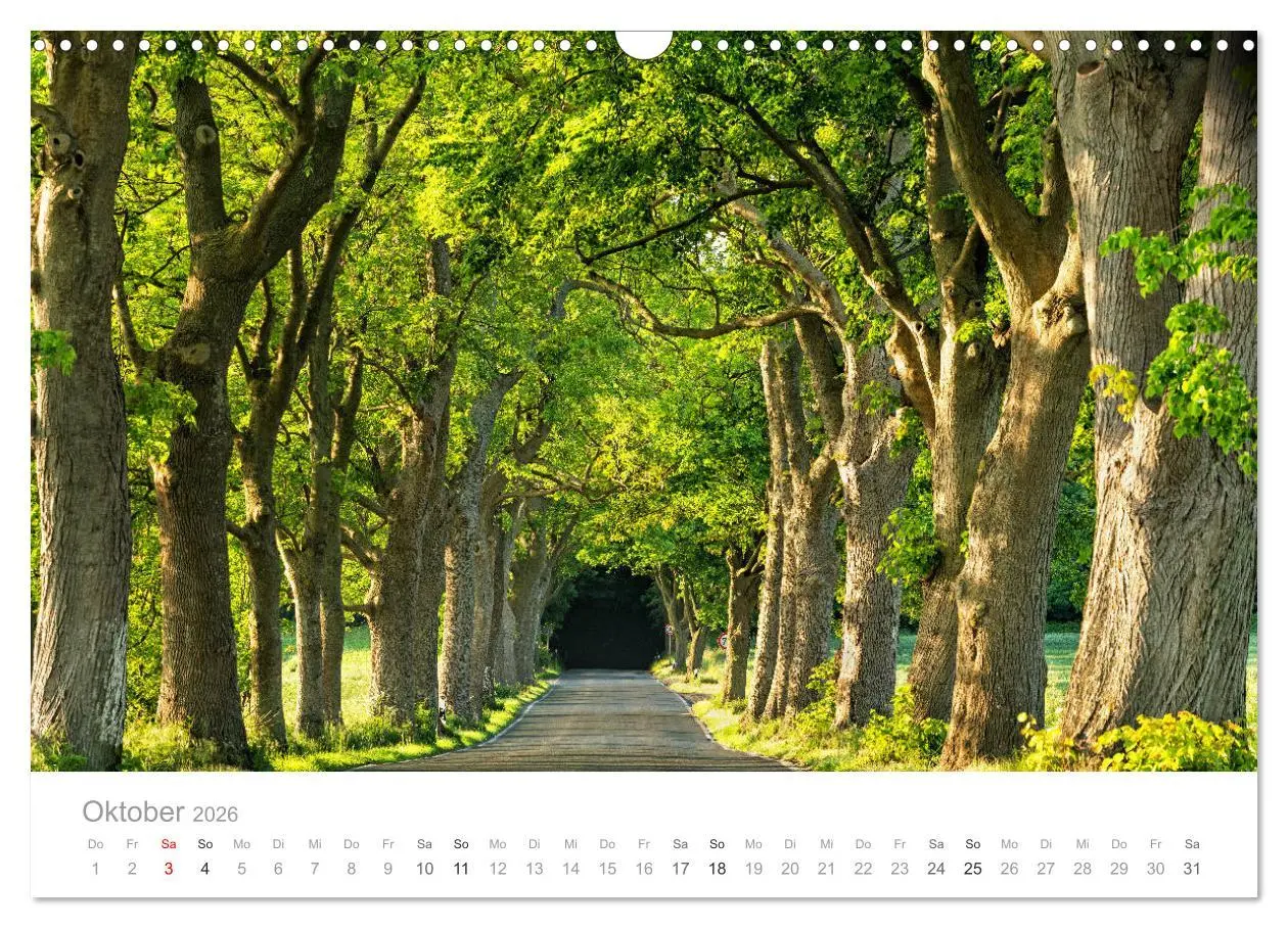 Bild: 9783457882153 | Rügen ein Sommertraum (Wandkalender 2026 DIN A3 quer), CALVENDO...