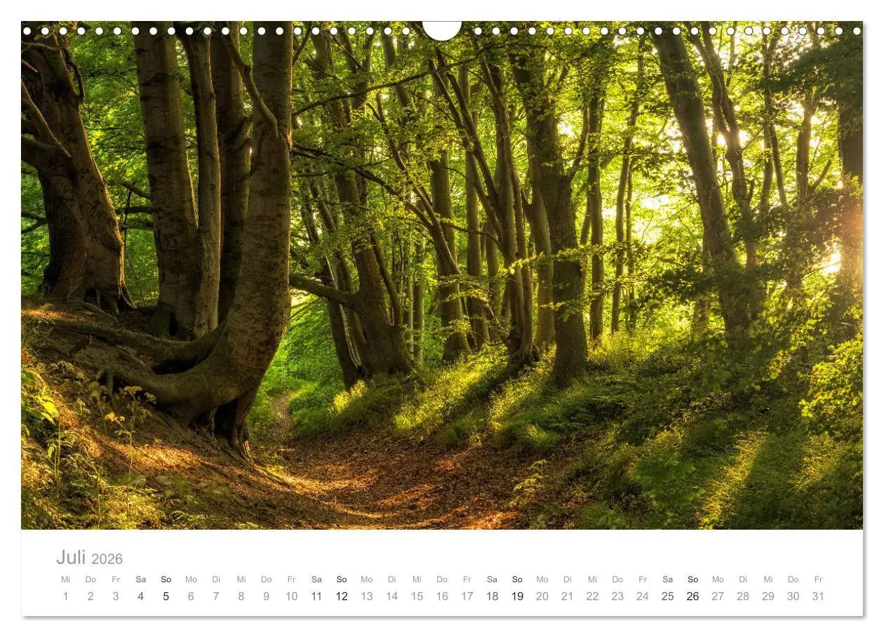 Bild: 9783457882153 | Rügen ein Sommertraum (Wandkalender 2026 DIN A3 quer), CALVENDO...