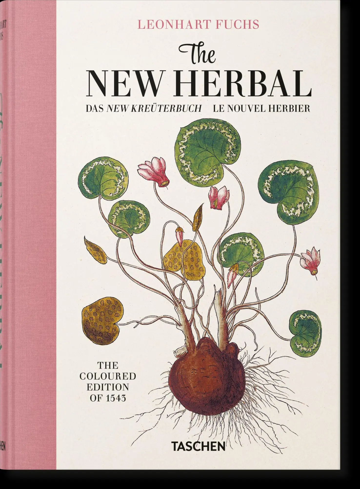 Cover: 9783754402153 | Leonhart Fuchs | The New Herbal | Werner Dressendörfer | Buch | 752 S.