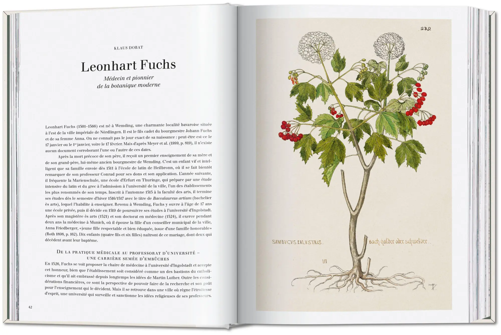 Bild: 9783754402153 | Leonhart Fuchs | The New Herbal | Werner Dressendörfer | Buch | 752 S.