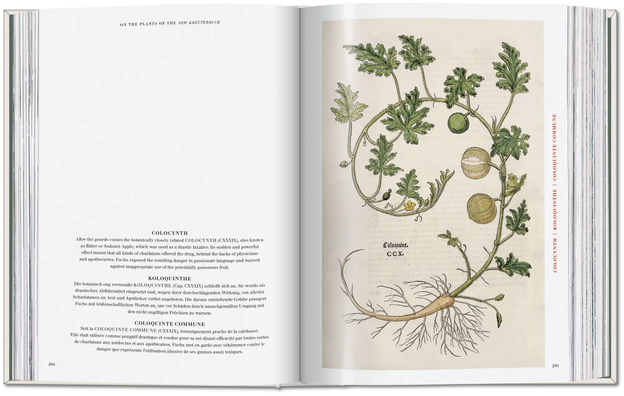 Bild: 9783754402153 | Leonhart Fuchs | The New Herbal | Werner Dressendörfer | Buch | 752 S.