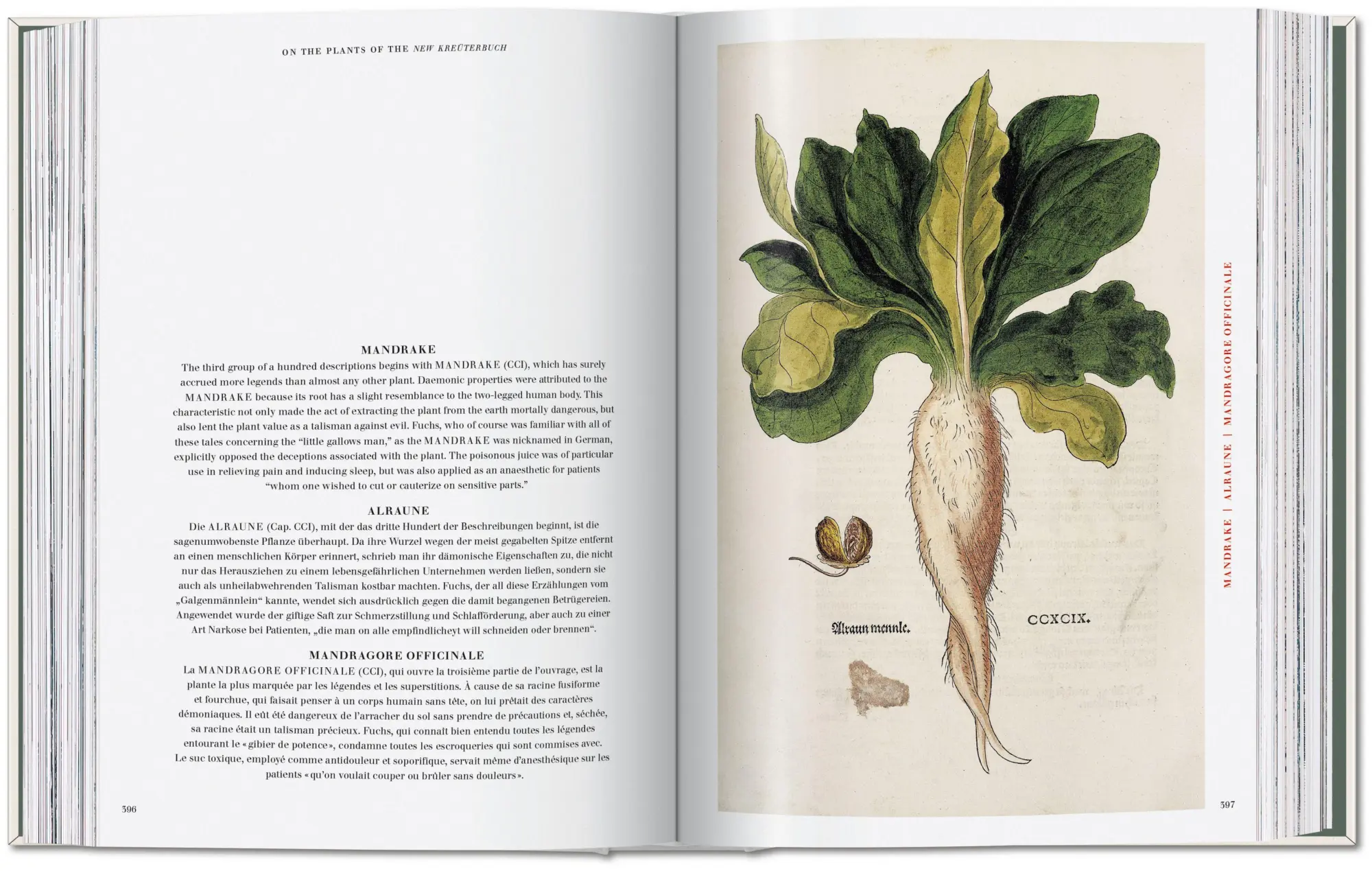 Bild: 9783754402153 | Leonhart Fuchs | The New Herbal | Werner Dressendörfer | Buch | 752 S.