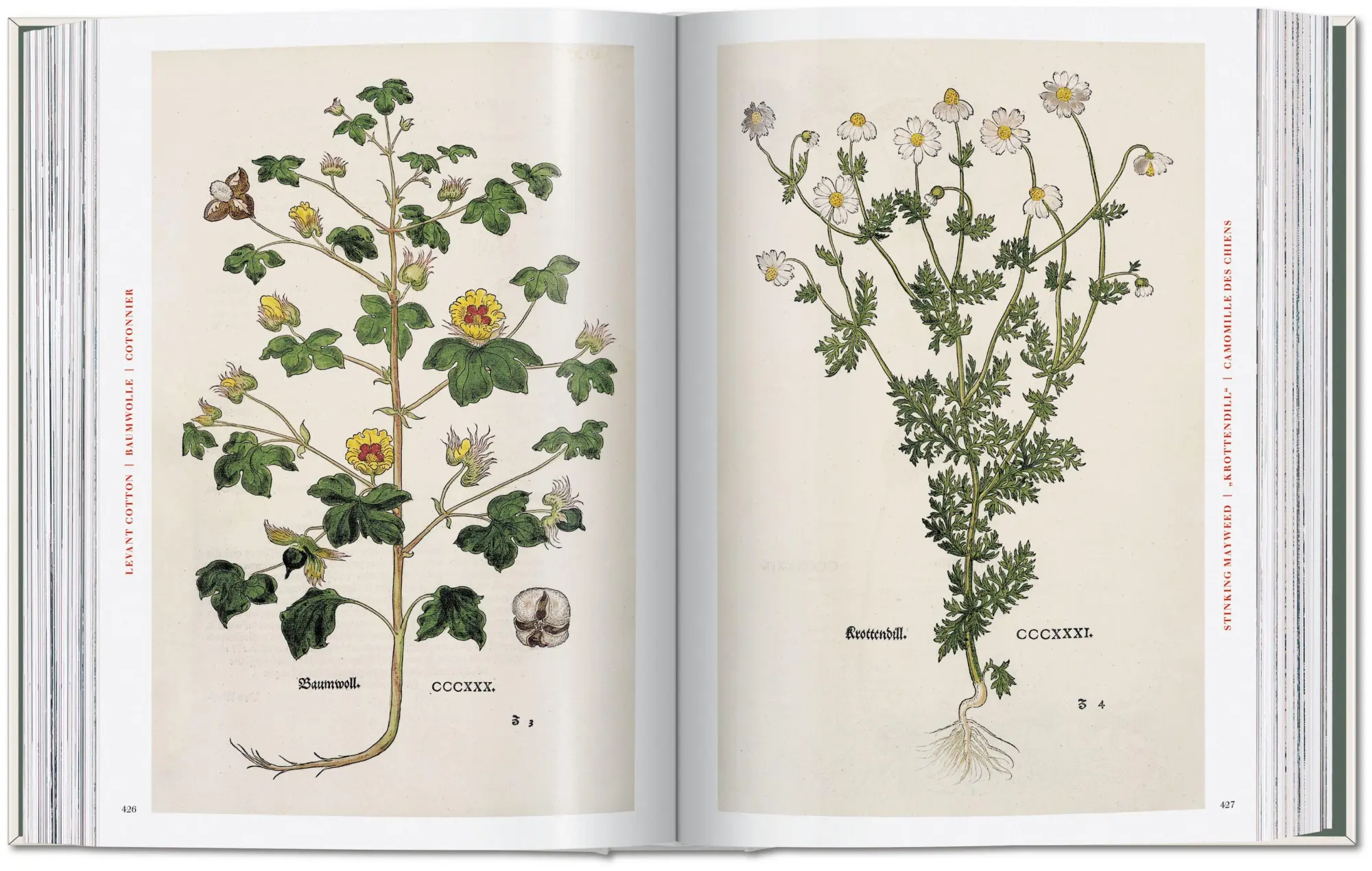 Bild: 9783754402153 | Leonhart Fuchs | The New Herbal | Werner Dressendörfer | Buch | 752 S.