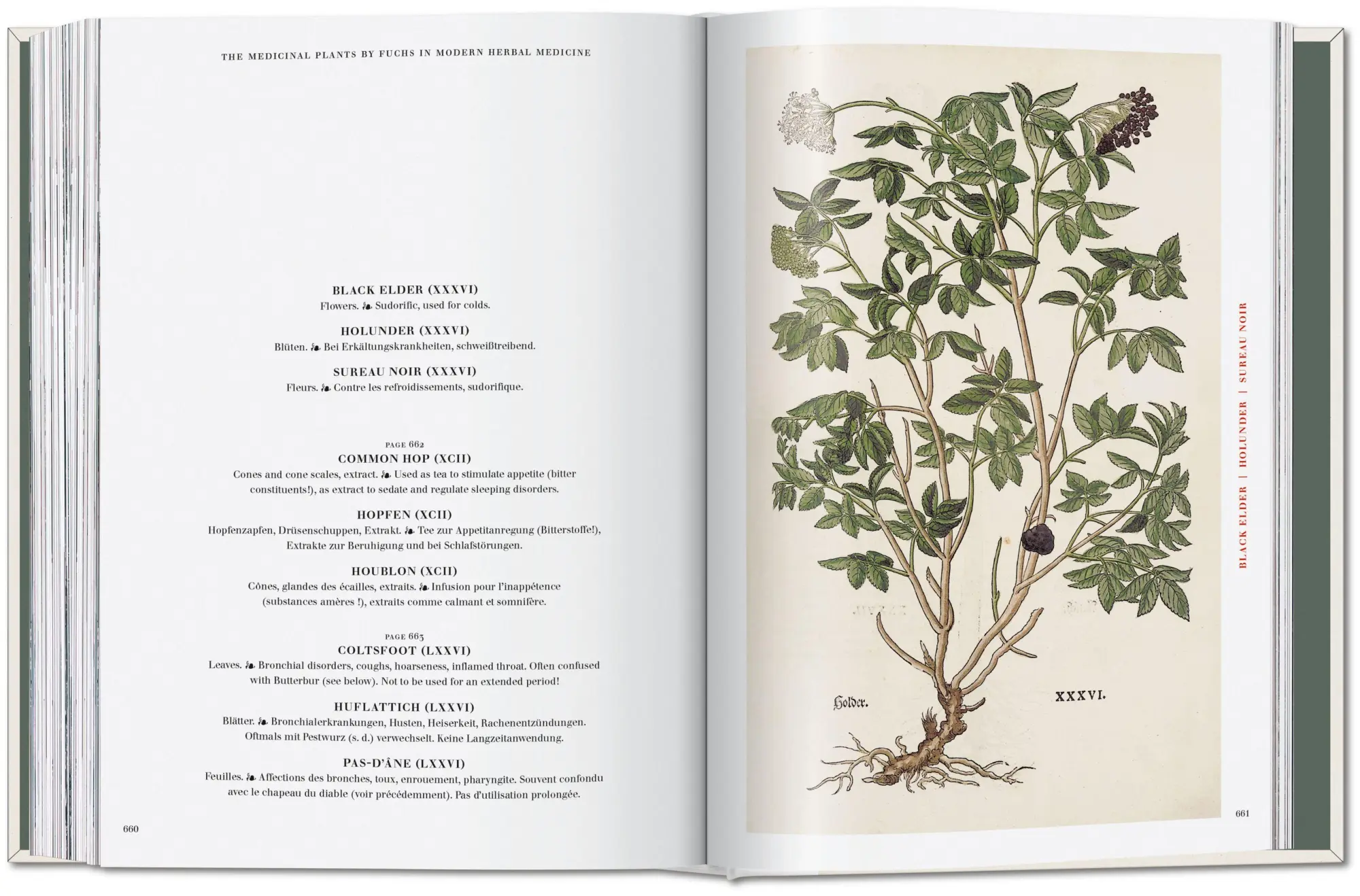 Bild: 9783754402153 | Leonhart Fuchs | The New Herbal | Werner Dressendörfer | Buch | 752 S.