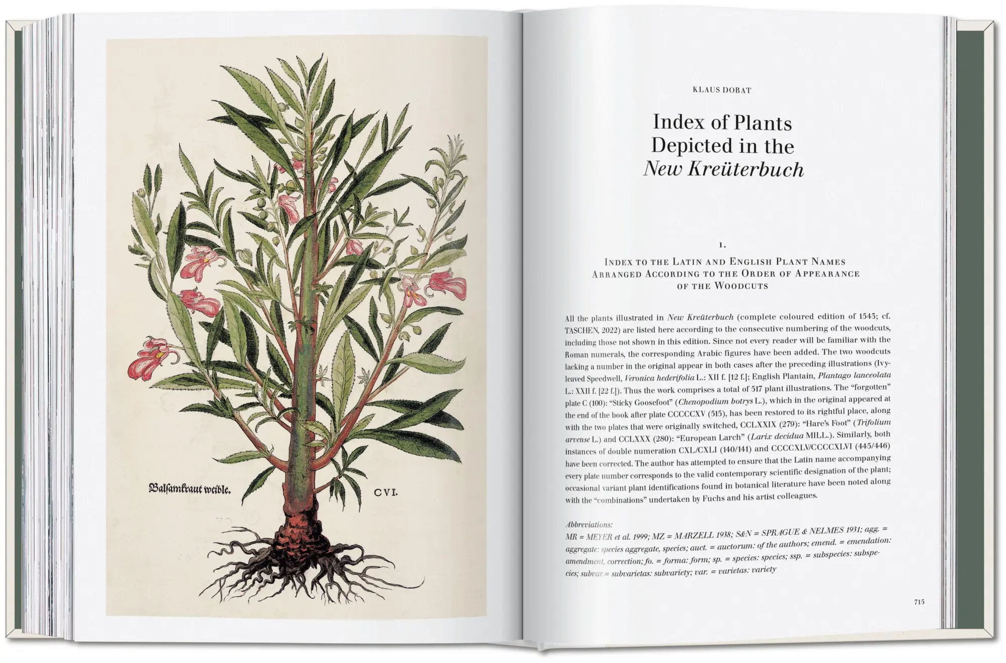 Bild: 9783754402153 | Leonhart Fuchs | The New Herbal | Werner Dressendörfer | Buch | 752 S.