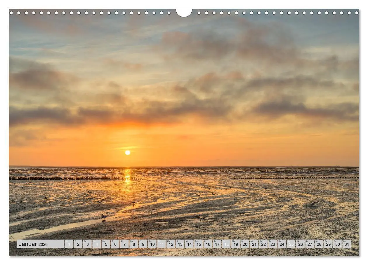 Bild: 9783457322253 | Wunderschönes Amrum (Wandkalender 2026 DIN A3 quer), CALVENDO...