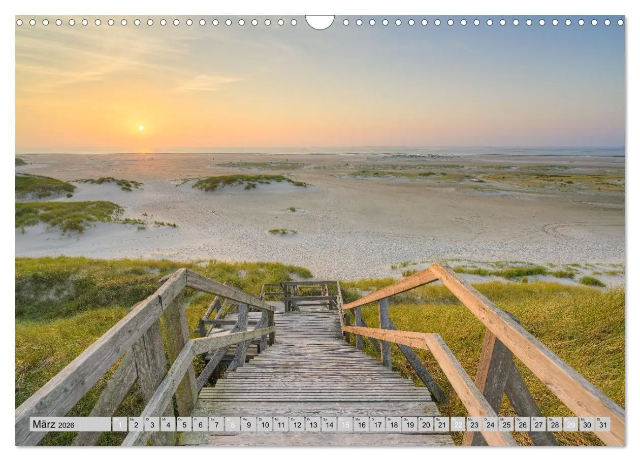 Bild: 9783457322253 | Wunderschönes Amrum (Wandkalender 2026 DIN A3 quer), CALVENDO...