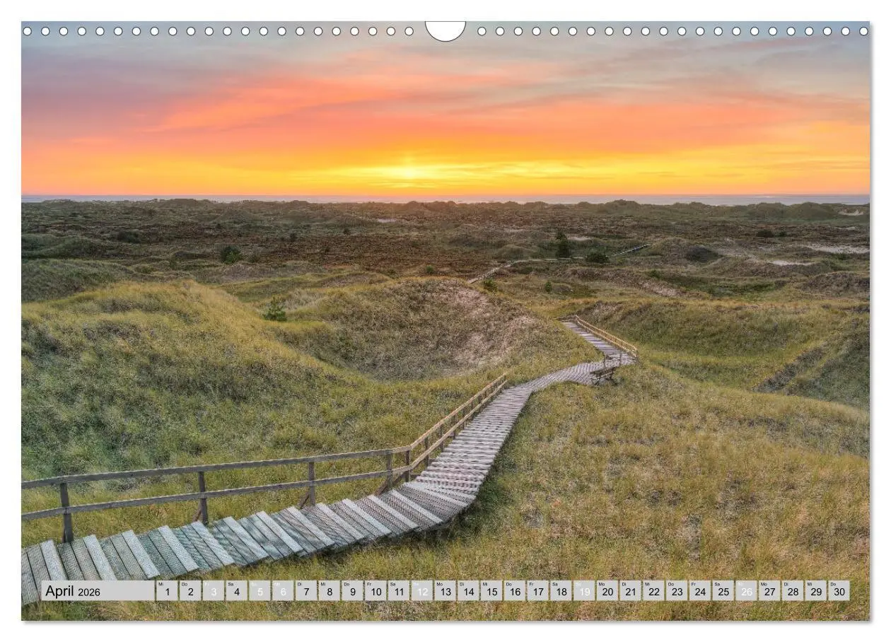 Bild: 9783457322253 | Wunderschönes Amrum (Wandkalender 2026 DIN A3 quer), CALVENDO...